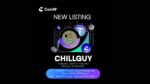 Chill Guy Meme Coin Listing on CoinW: Everything You Need to Know